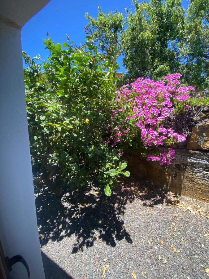 Vivienda Vacacional Casa Pancho Taibique Exteriér fotografie